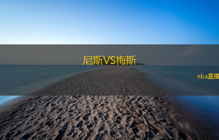 尼斯VS梅斯