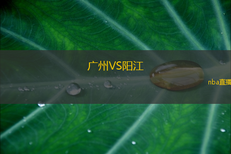 广州VS阳江