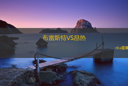 布雷斯特VS昂热